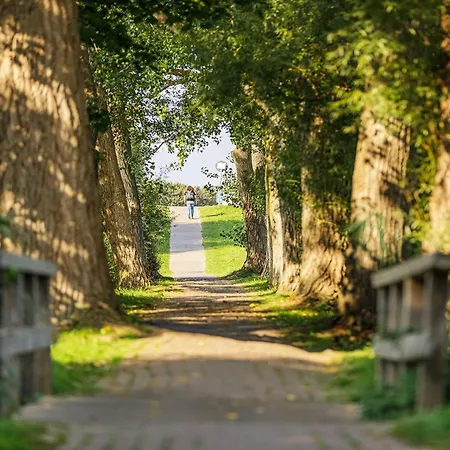 Strandluft - 5 Sterne Mit Infrarotkabine Apartament Wustrow (Fischland)