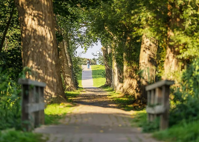 Strandluft - 5 Sterne Mit Infrarotkabine 아파트 부스트로우